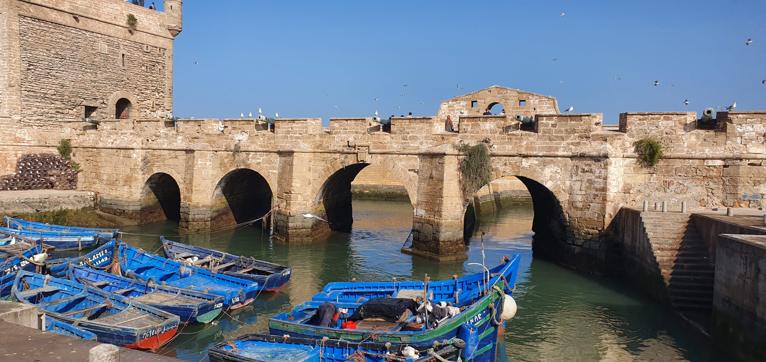 Januar: Essaouira am Atlantik