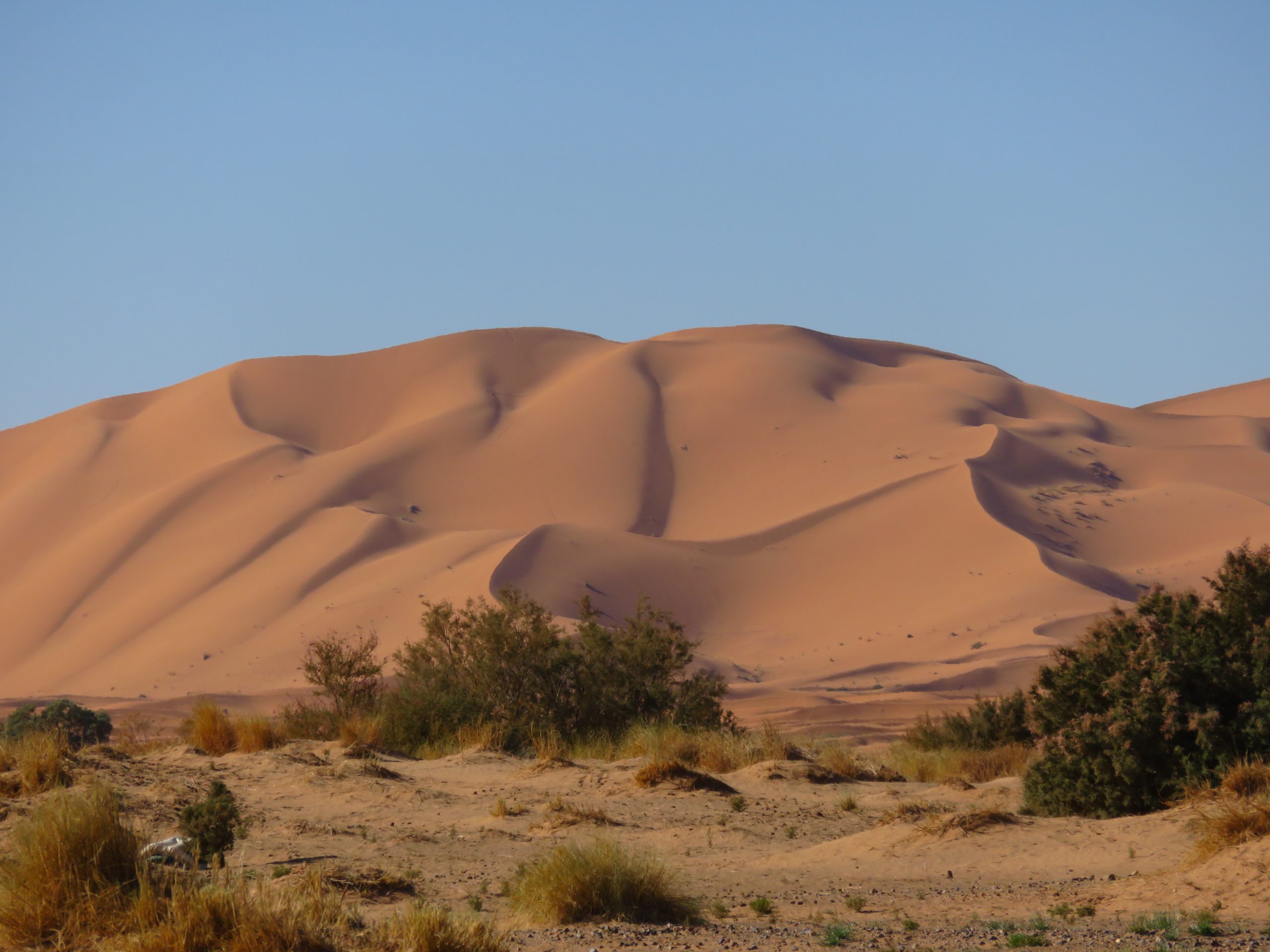 Dezember: Erfoud und die Wüste Erg Chebbi