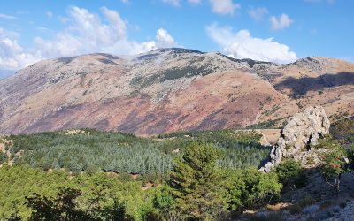 September: Nationalpark Parco dell Madonie und Pizzi Generosa