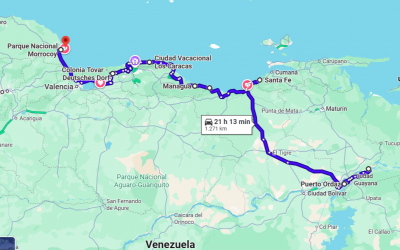 Januar 2026: Welche Pläne bringen uns weiter?